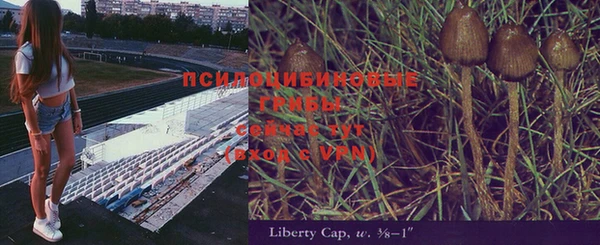 винт Алзамай